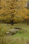 Filename=fall-rambly-2005-dc-065.jpg
Filesize=117KiB
Dimensions=318x480
Date added=Oct 23, 2011 fall-rambly-2005-dc-065.jpg
