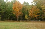 Filename=fall-rambly-2005-dc-068.jpg
Filesize=131KiB
Dimensions=640x424
Date added=Oct 23, 2011 fall-rambly-2005-dc-068.jpg