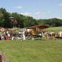 78 Rhinebeck Aerodrome Planes and More
