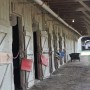 70   Saratoga Racetrack   Behind the Scenes   7