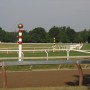 76   Saratoga Racetrack   Behind the Scenes   13