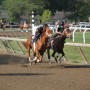 80   Exercising the Thoroughbreds   4