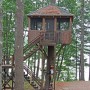 58   Tree House