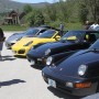 IMG 3838 s 