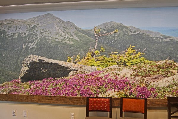 138   2024 06   treffen testing