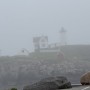 nubble in the fog