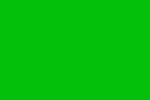 trackflag_green.gif